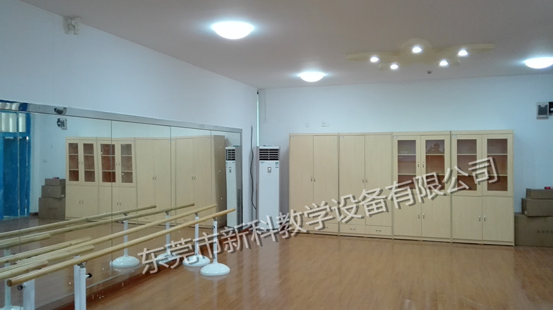 <a href='http://www.t905.cn/chanpin/59-1.html' target='1' style='font-size:18px; font-weight:bold; color:#000000;'>舞蹈室</a>