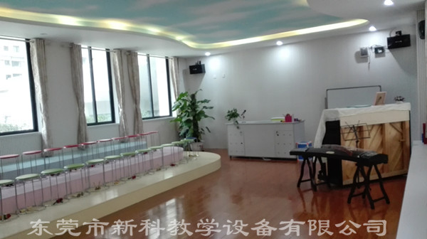 <a href='http://www.t905.cn/chanpin/58-1.html' target='1' style='font-size:18px; font-weight:bold; color:#000000;'>音樂功能室</a>